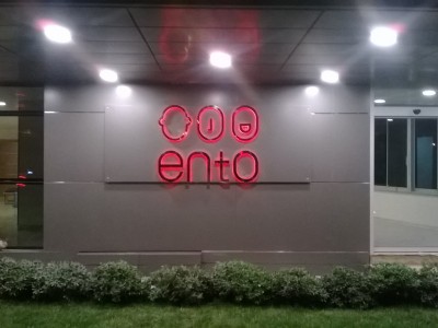 İç Mekan ve Yönlendirmeler